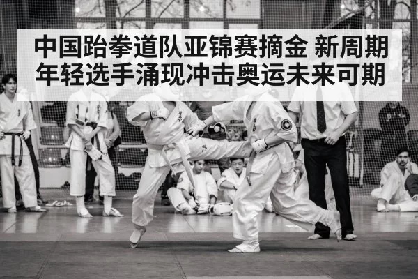 中国跆拳道队亚锦赛摘金 新周期年轻选手涌现冲击奥运未来可期