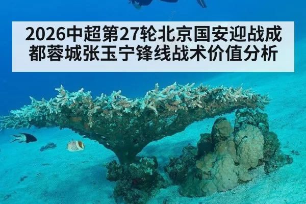 2026中超第27轮北京国安迎战成都蓉城张玉宁锋线战术价值分析